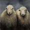 Sheeps Wool Poster Print by Atelier B Art Studio - Item # VARPDXBEGANI212